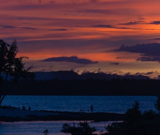 a sunset with a lone bird flying over a body of water