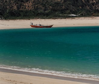 a boat in the water near a beach
