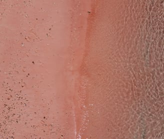 a person standing on a beach with a surfboard