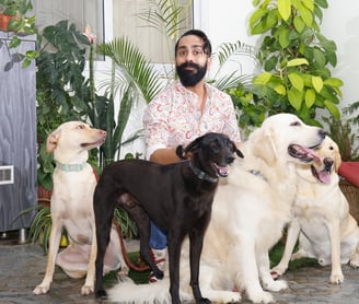 Dog Homestay Boarding | Electronic City | Bangalore