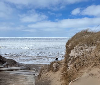 La Dune de l'Ouest l'hiver