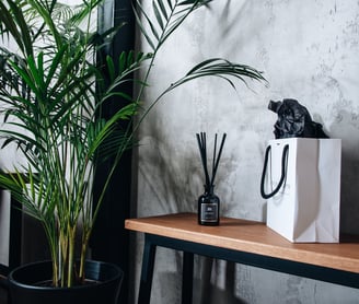 black fragrance diffuser and white back with tree