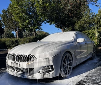 Exterior Detailing Image “Professional mobile car detailing service washing and waxing"