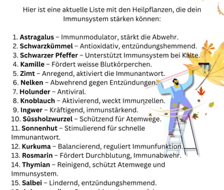 Heilpflanzen im Herbst - Sanapendium
