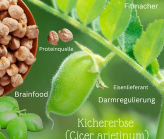 Kichererbse Brainfood