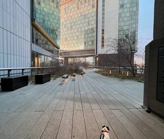 Quiet Sunrise on the High Line NYC