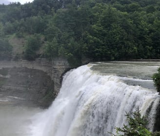 Lower Genesee Falls Letchworth State Park