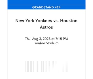 Ticket to paradise at Yankee Stadium