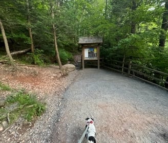 Katterskill falls Catskill New York