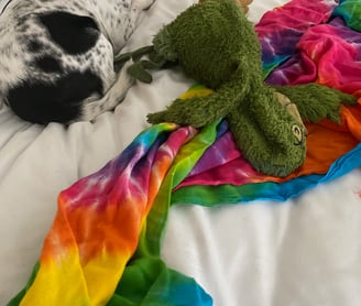 Gigi in Key West