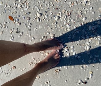 Maxwell Falk is a perfect Sea Shell