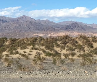 Death Valley Ca March 15, 2018