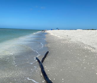 Marco Island Florida