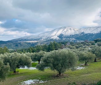 mountain attavyros, rhodes greece a very special place