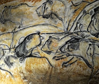 Photo représentant des gravures préhistoriques sur les grotte Chauvet en Ardèche