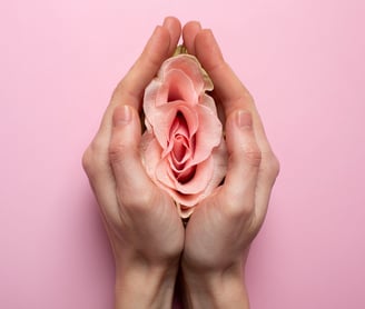 mãos estendidas segurando uma rosa, simbolizando a vida