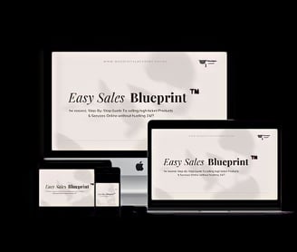 Easy Sales Blueprint Coaching Program