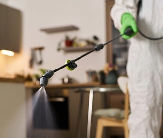 Pulverisation insecticide en essonnes