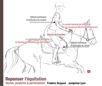influence de la posture du cavalier sur le cheval