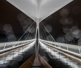 Silta johonkin