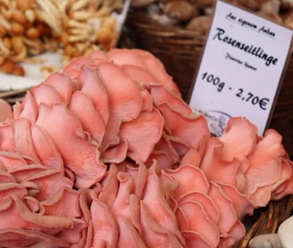 Rosenseitlinge auf dem Markt