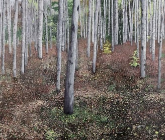 Manistee River Trail painting. Fall forest.