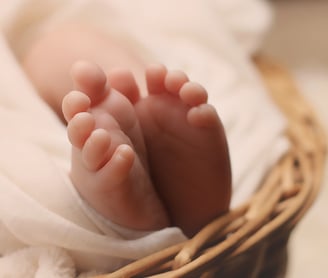 a baby toes in basket