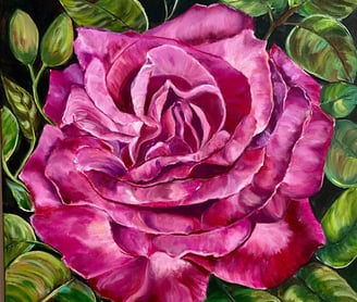 a painting of a fucsia rose  from my garden