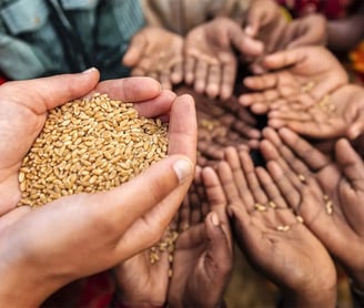 Food Security