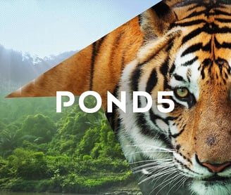 Pond 5