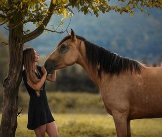 Kasia with her buckskin mustang akhal teke horse doing a Native American style Indian photo shoot 