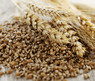 a bunch of wheats and wheats on a wooden table