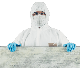 mold removal louisville ky