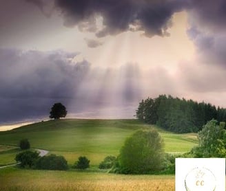 paysage surfait d'un ciel nuageux violet laissant passer ds rayons du soleil qui viennent illuminer la plaine verdoyante,