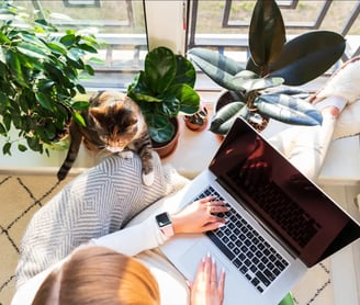 a woman working at the laptop with a cat, she is working on a translation in a cosy atmosphere