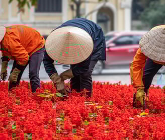 dried flower raw material