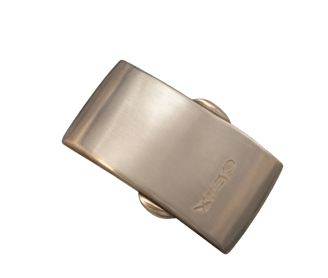 Golden plaque buckle