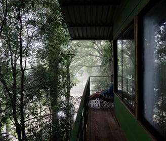 a person sitting on a porch with Alzheimer's or dementia memory loss