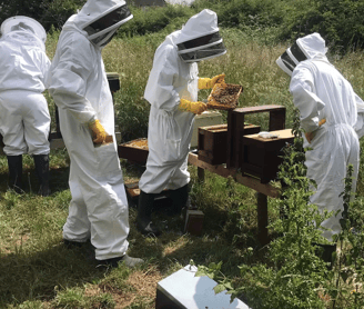 Beekeeping Lincolnshire