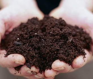 a person holding a handful of dirt in their hands