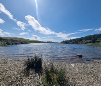 A beautiful lake surrounded by gerrn hills and pine forest.