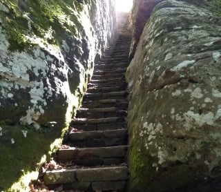Worn stairs on a trail in a National Forest.