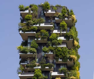 Sustainable urban growth