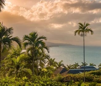 a view of a tropical coastline in Jamaica with palm trees, turquoise waters, and mountains