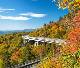The leaves turning colors at Linn Cove Viaduct, Grandfather Mountain, North Carolina, USA