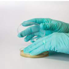 Glove fingertip testing per USP<797>