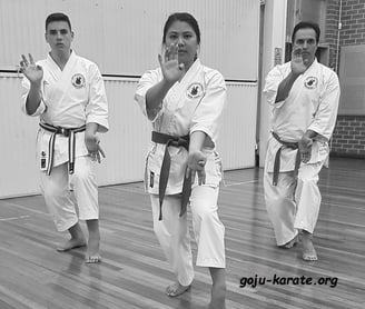 Karate Kenyukan