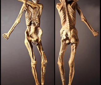 Otzi