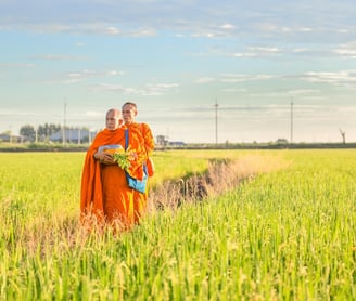 Asia retreat - two monks in a field with a sky background