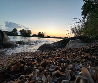 Calming Nature Fox River